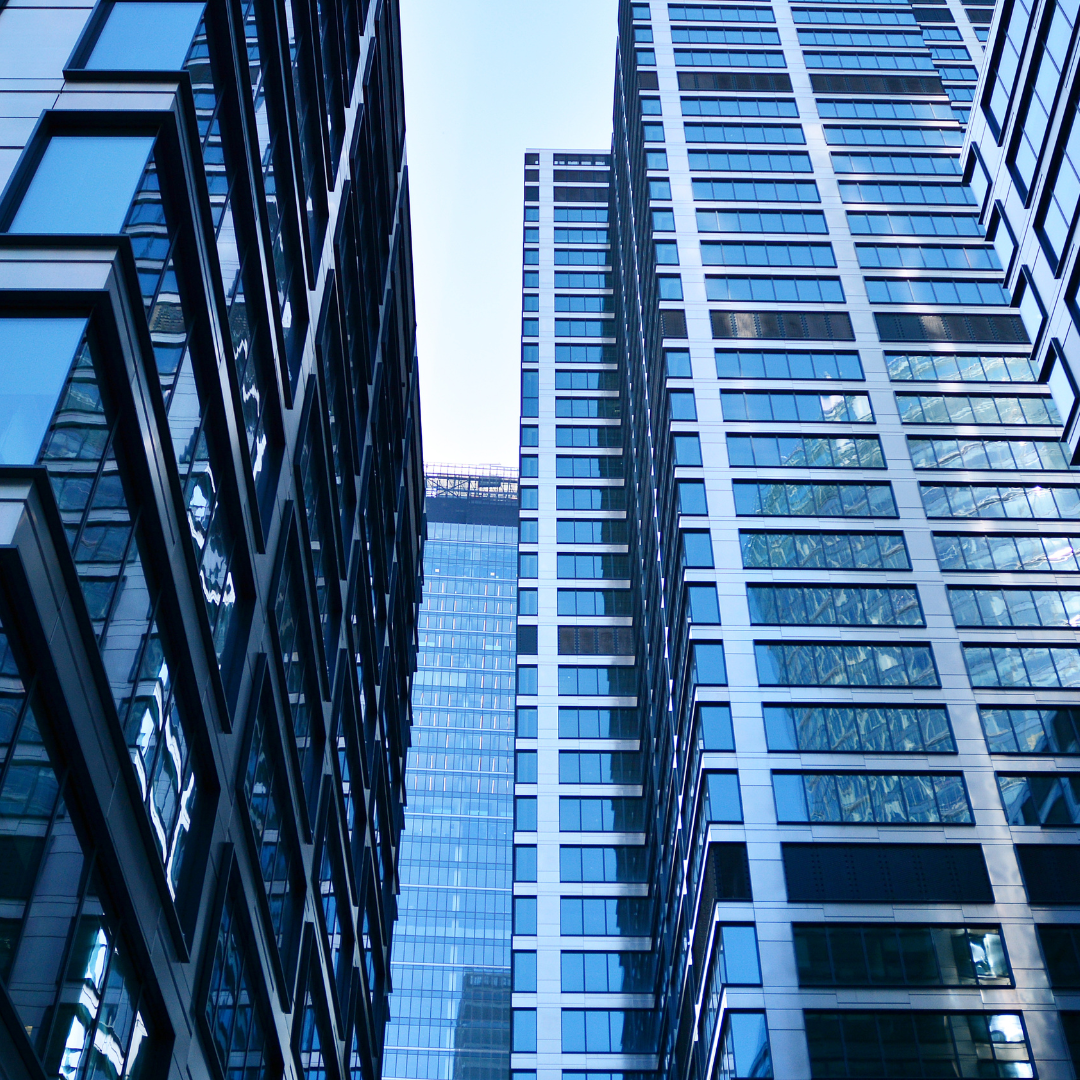 How do I protest my property taxes in Travis County Texas?